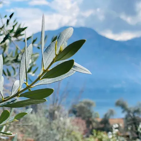 Riva Lenno Διαμέρισμα *