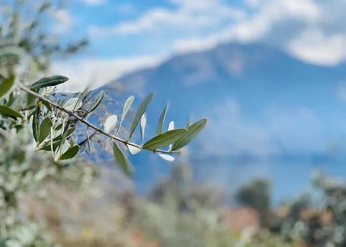 Apartment Riva Lenno *