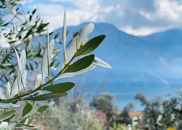 Riva Lenno Apartment *